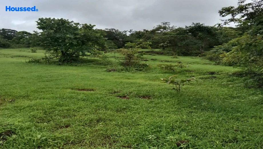 Project Image of Agriculture Land for Resale in Khed Shivapur - Image 125895