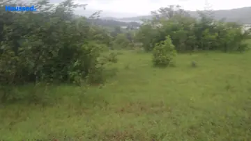 Project Image of Agriculture Land for Resale in Lonavala, Pune - Image 125905