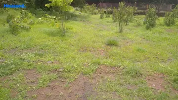 Project Image of Housing Plot/Residential Land for Resale in Baner, Pune - Image 125981