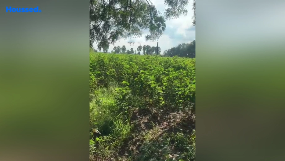 Project Image of Agriculture Land for Resale in Choutuppal - Image 126969