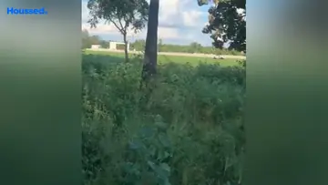 Project Image of Agriculture Land for Resale in Choutuppal, Hyderabad - Image 126970