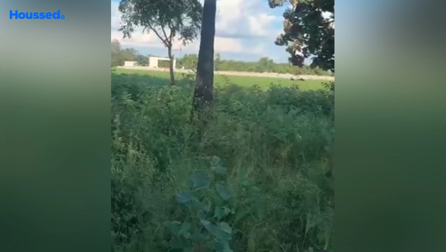 Project Image of Agriculture Land for Resale in Choutuppal - Image 126970