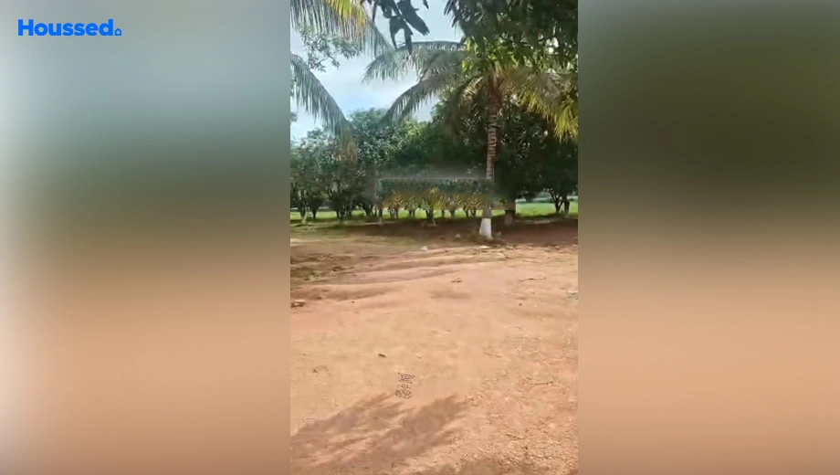 Project Image of Agriculture Land for Resale in Moinabad - Image 127076