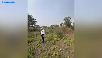 Project Image of Commercial Land for Resale in Sinnar Phata, Nashik - Image 127795