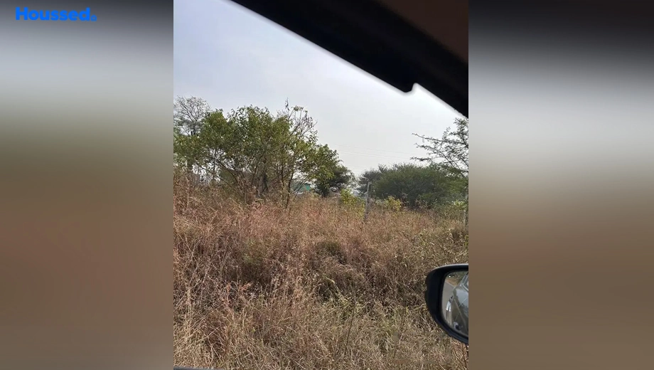 Project Image of Housing Plot/Residential Land for Resale in Pathardi Phata - Image 128382