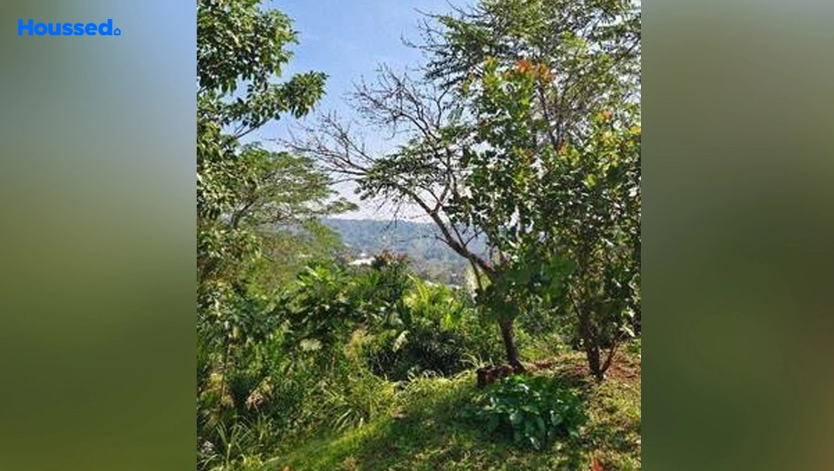 Project Image of Housing Plot/Residential Land for Resale in Aradi Socorro - Image 128403