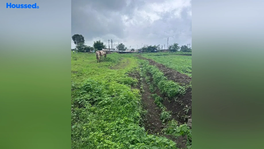 Project Image of Agriculture Land for Resale in Sinnar Phata - Image 128604