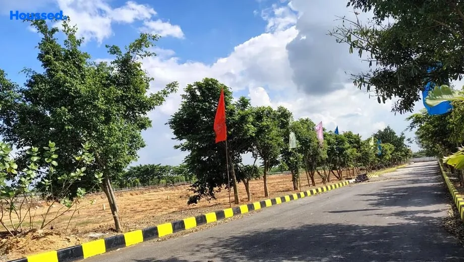Project Image of Housing Plot/Residential Land for Resale in Shadnagar - Image 128757