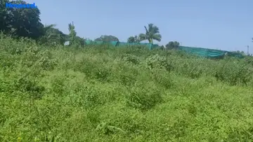 Project Image of Agriculture Land for Resale in Chandshi, Nashik - Image 129303