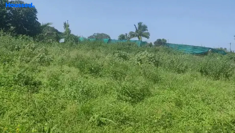 Project Image of Agriculture Land for Resale in Chandshi - Image 129303