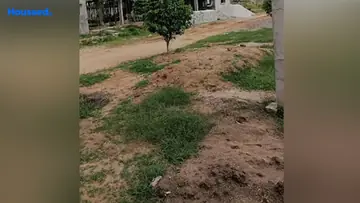 Project Image of Housing Plot/Residential Land for Resale in Mokila, Hyderabad - Image 130502