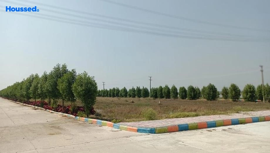 Project Image of Housing Plot/Residential Land for Resale in Shadnagar - Image 130763