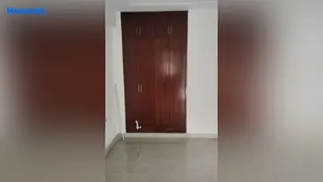 Project Image of 3 BHK Flat for Rent in Sector 47, Gurgaon - Image 130880
