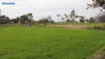 Project Image of Agriculture Land for Resale in Mokila, Hyderabad - Image 132475