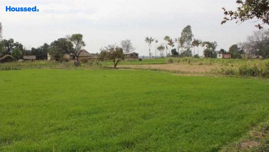 Project Image of Agriculture Land for Resale in Mokila - Image 132475