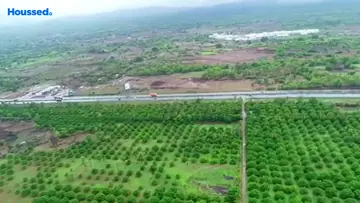 Project Image of Agriculture Land for Resale in Palghar, Palghar - Image 132504
