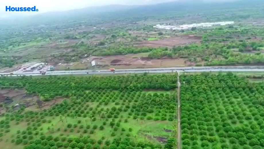 Project Image of Agriculture Land for Resale in Palghar - Image 132504