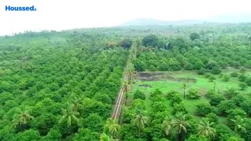 Project Image of Agriculture Land for Resale in Palghar, Palghar - Image 132503