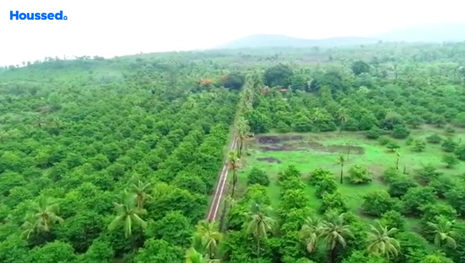 Project Image of Agriculture Land for Resale in Palghar - Image 132503