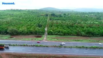 Project Image of Agriculture Land for Resale in Palghar, Palghar - Image 132502