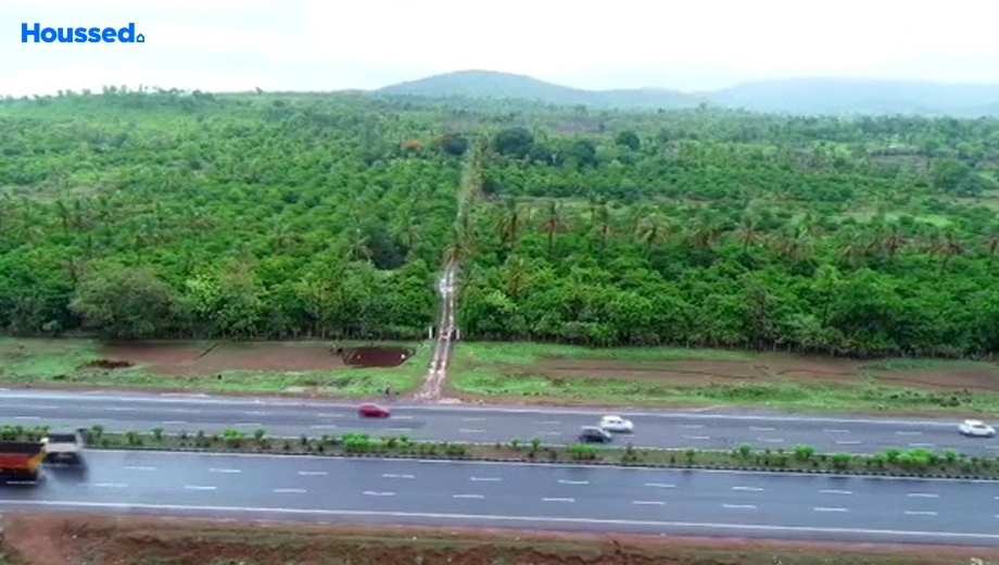 Project Image of Agriculture Land for Resale in Palghar - Image 132502