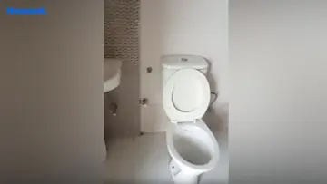 Project Image of 2 BHK Flat for Rent in SCC Sapphire Raj Nagar Extension, Ghaziabad - Image 132727