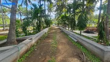 Sample Apartment of Agriculture Land for Resale in Pollachi, Coimbatore - Image 4479