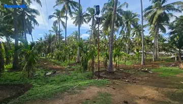 Sample Apartment of Agriculture Land for Resale in Pollachi, Coimbatore - Image 4478