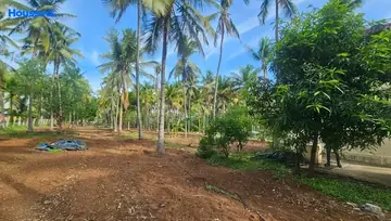 Sample Apartment of Agriculture Land for Resale in Pollachi, Coimbatore - Image 4486