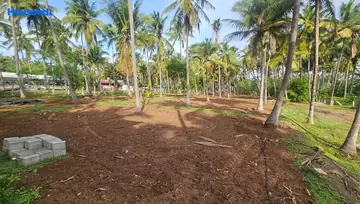 Sample Apartment of Agriculture Land for Resale in Pollachi, Coimbatore - Image 4477