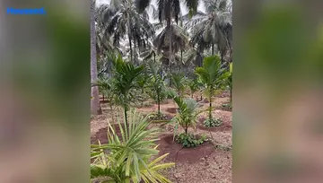 Amenities of Agriculture Land for Resale in Pollachi, Coimbatore - Image 4901