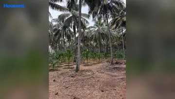 Amenities of Agriculture Land for Resale in Pollachi, Coimbatore - Image 4903