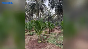 Amenities of Agriculture Land for Resale in Pollachi, Coimbatore - Image 4905