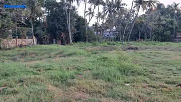 Project Image of Commercial Land for Resale in Ernakulam, Kochi - Image 133533