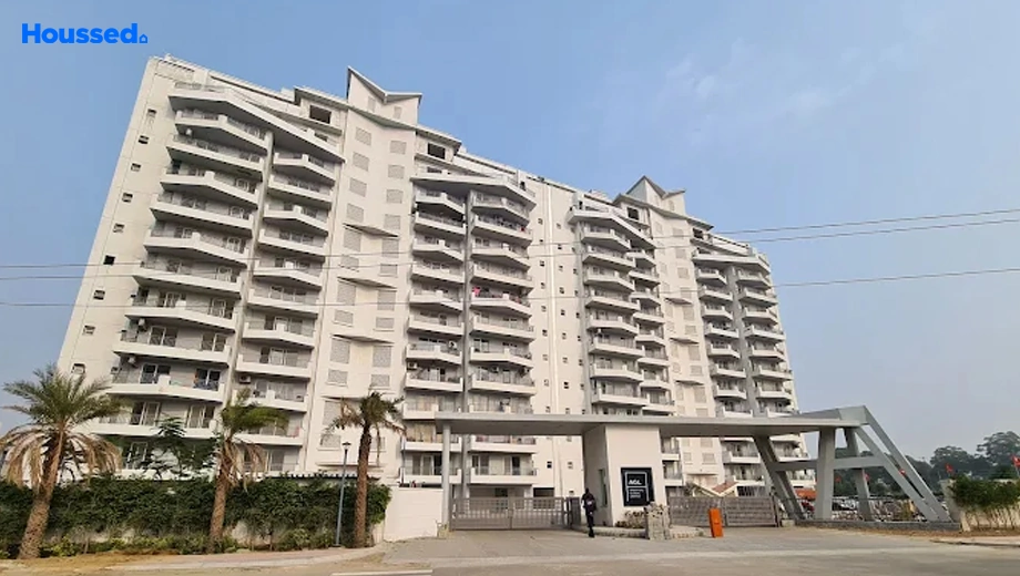 Project Image of 3 BHK Flat for Resale in Tarc Maceo, Sector 91 - Image 134665