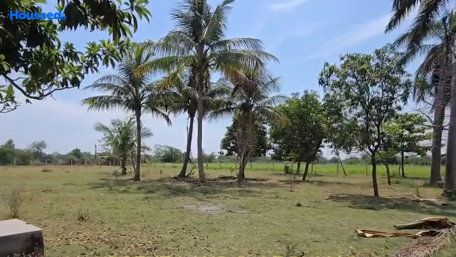 Amenities of Housing Plot/Residential Land for Resale in Vemali - Image 135205