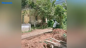 Project Image of Housing Plot/Residential Land for Resale in Pallikkara, Kochi - Image 136539