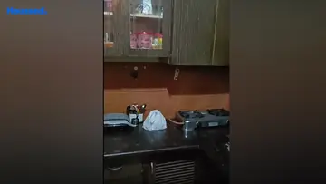Project Image of 3 BHK Flat for Resale in Shakti Nagar, New Delhi - Image 136921