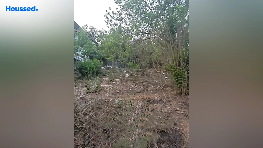 Project Image of Housing Plot/Residential Land for Resale in Betora - Image 136978