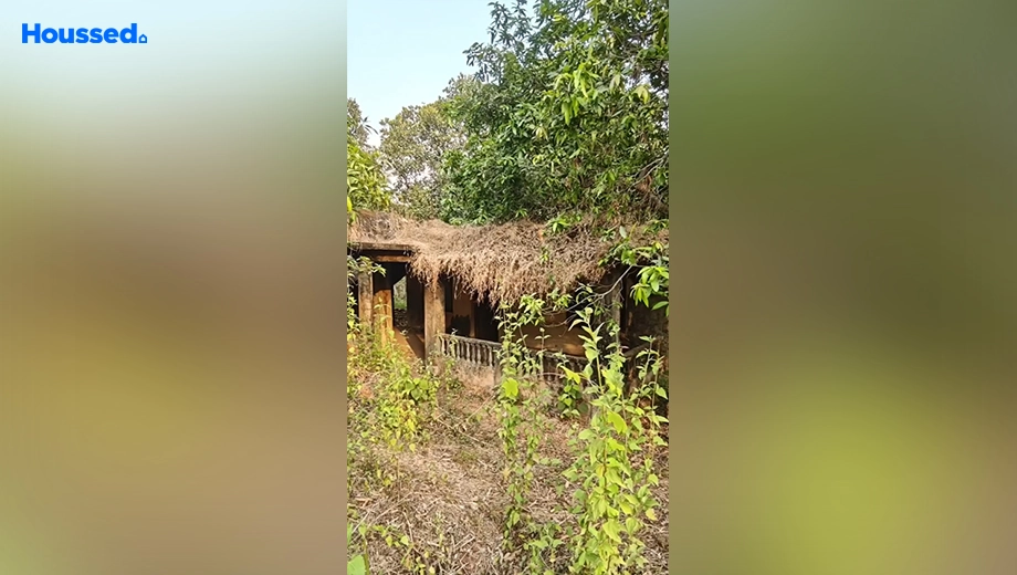 Project Image of Agriculture Land for Resale in Darbandora - Image 137024