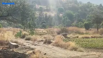 Project Image of Housing Plot/Residential Land for Resale in Trimbak, Nashik - Image 137630