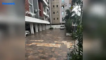 Sample Apartment of 3 BHK Flat for Resale in Kanke, Ranchi - Image 5972