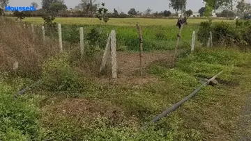 Project Image of Agriculture Land for Resale in Ratibad, Bhopal - Image 139784
