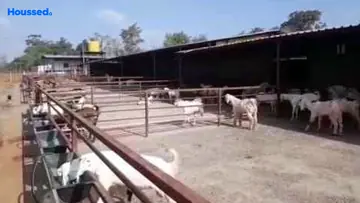 Amenities of Agriculture Land for Resale in Murbad, Thane - Image 140412