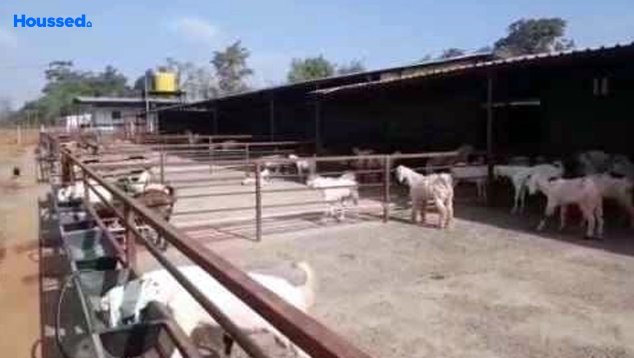 Amenities of Agriculture Land for Resale in Murbad - Image 140412