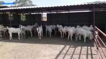 Amenities of Agriculture Land for Resale in Murbad, Thane - Image 140410