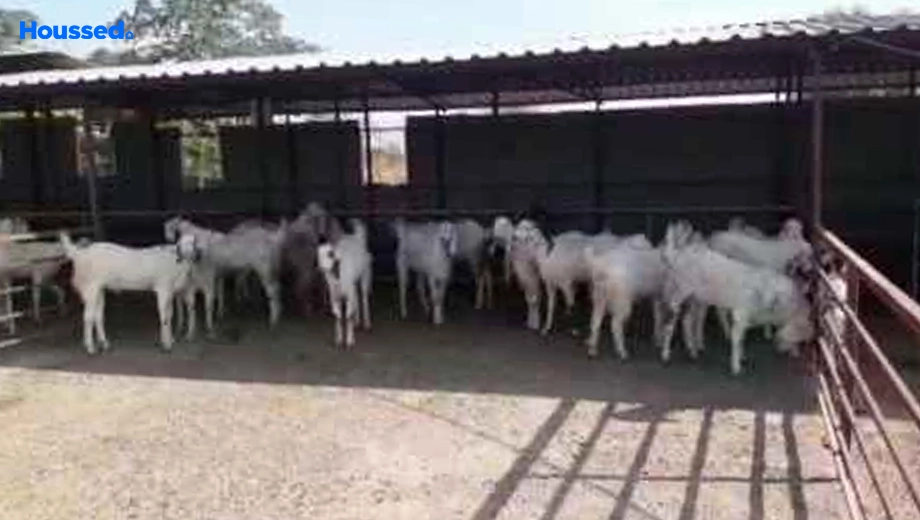 Amenities of Agriculture Land for Resale in Murbad - Image 140410