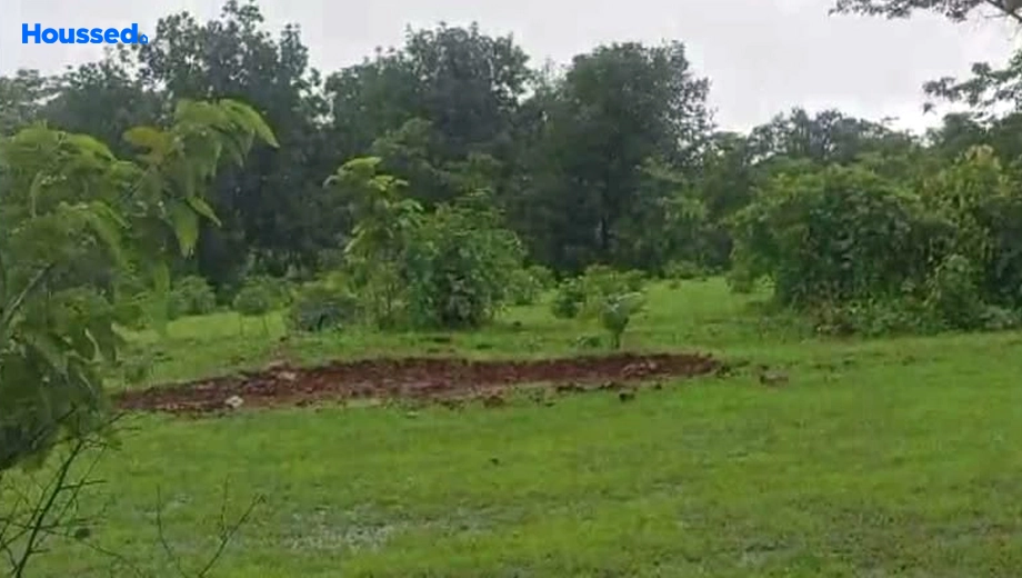 Amenities of Agriculture Land for Resale in Murbad - Image 140408