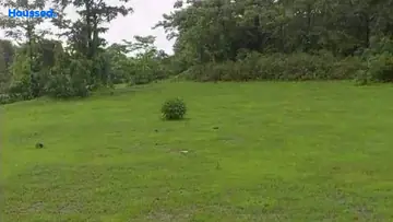Amenities of Agriculture Land for Resale in Murbad, Thane - Image 140411