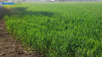 Project Image of Agriculture Land for Resale in Ratibad, Bhopal - Image 144120